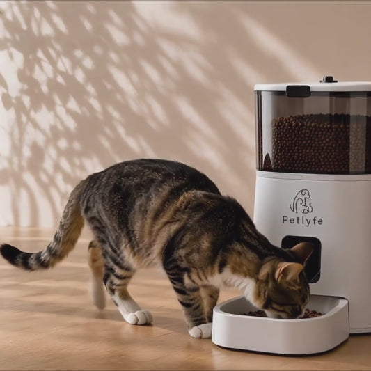 Petlyfe VisionFeast™ Smart Feeder